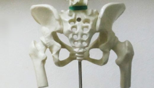 なぜ「首・背骨・骨盤」が，ゆがむと身体が不調になるのか？